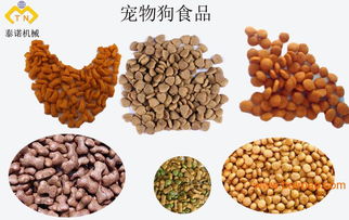 一站式解決方案 操作簡單的寵物食品生產線與飼料設備加工基地