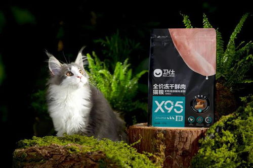 20億押注寵物健康 衛仕總裁談食品賽道新邏輯